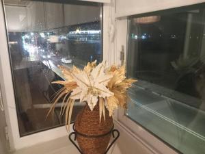a vase filled with white flowers in a window at Faros in Chios
