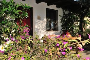 Zahrada ubytování Alba Bed & Breakfast