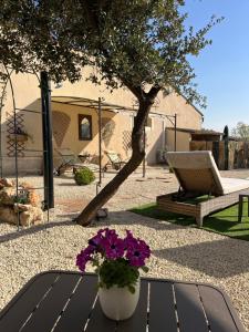 Zahrada ubytování L'AMANDERAIE PISCINE PRIVEE à côté de LOURMARIN LUBERON