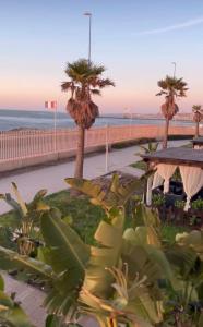 Una vista de la playa desde un resort con palmeras. en Appartement vue sur Mer Sidi Bouzid, en Moulay Abdallah 15 fotos más