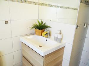 ein Badezimmer mit einem Waschbecken und einer Pflanze darauf in der Unterkunft Inselidylle Villa Saltkrokan in Fehmarn + 31 Fotos