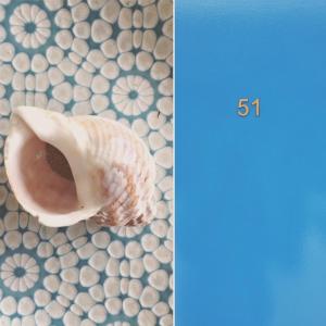 a close up of a shell on a plate at Le Bulot Bleu *Terrasse couverte *Parking *2 vélos in Carnac