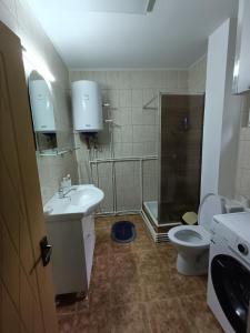 un bagno con doccia, lavandino e WC di Casa Piatra Corbului a Gura Teghii