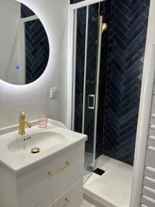 a bathroom with a sink and a shower at Appartement Saint-Pierre TOULOUSE hyper centre ville in Toulouse