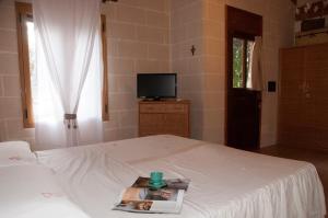 TV a/nebo společenská místnost v ubytování Alba Bed & Breakfast