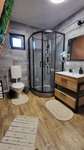 a bathroom with a shower and a toilet and a sink at Cabana Valley Vista in Lacu Rosu +10 photos