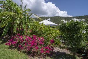 Kebun di luar Villa An ti kwen paradi 3 chambres avec piscine et vue mer