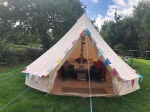 Zahrada ubytování Glamping with Alpacas! - Alton Towers + 21 fotografií