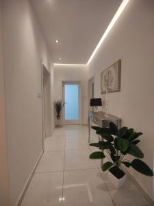 Fotografie z fotogalerie ubytování Eivissa Appartment v destinaci Marsaskala