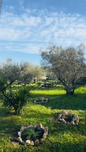 a field with trees and rocks in the grass at La Casa del Grillo in Viterbo +58 photos