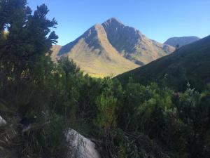 a view of some mountains with trees and bushes at Scalarhoney Lodge in Twee Riviere