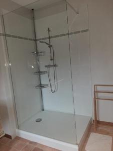 a shower with a glass enclosure in a bathroom at Au pied du Lavoir Chambre Odile in Grézillé