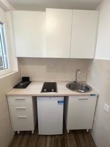 Kuchyň nebo kuchyňský kout v ubytování Apartmani VRELO