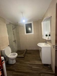 Koupelna v ubytování Apartmani VRELO