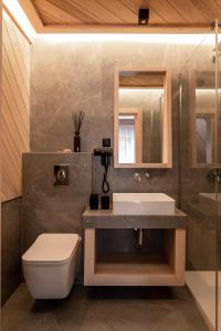 a bathroom with a sink and a toilet and a mirror at Villa Las Apartamenty in Zakopane