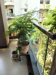 Fotografie z fotogalerie ubytování Elegant City Retreat v destinaci Vadódara