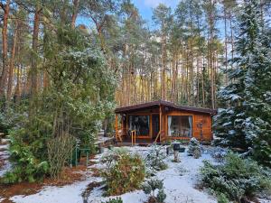a cabin in the woods with snow on the ground at HomeWood - Popowo Letnisko in Gąsiorowo Duże