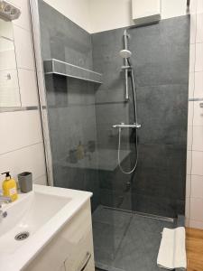 a bathroom with a shower and a sink at Ferzs Apartman Egerszalók in Egerszalók +10 photos