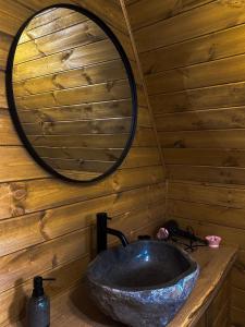 a bathroom with a stone sink in a wooden wall at A Way To Nature in Măgura +24 photos