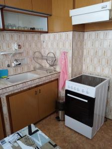 Η κουζίνα ή μικρή κουζίνα στο Апартамент Димови