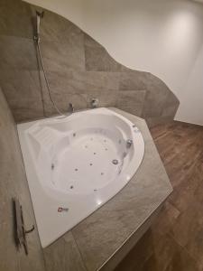 Apartment Lotus的一间浴室