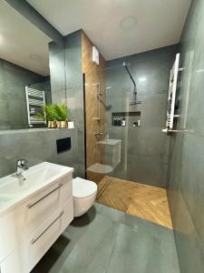 a bathroom with a toilet sink and a shower at Ami Luxury Residence XII CENTRUM - możliwość REJSU ŁODZIĄ in Iława +14 photos
