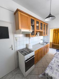 Kuchyňa alebo kuchynka v ubytovaní Szeki Apartman