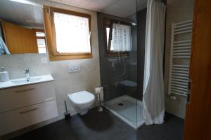 a bathroom with a shower and a toilet and a sink at KIENHOLZ by Stay in Brienz in Brienz