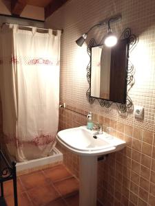 a bathroom with a sink and a shower and a mirror at Lo Paller de Roc in Montescladó