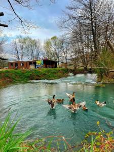 Příroda nedaleko chaty + 12 fotografií