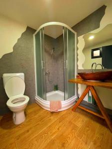 Koupelna v ubytování Apartmani Krupajsko Vrelo
