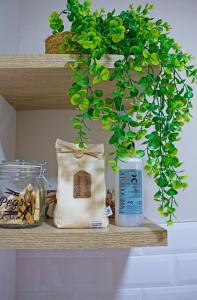 a shelf with a purse and a plant on it at Cosy Connect Guesthouse in Krugersdorp