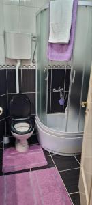 a bathroom with a toilet and a shower with purple mats at Apartman VASKE in Šabac +6 photos