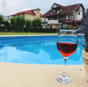 a glass of wine sitting on a table next to a pool at Pensiunea Regina Deltei in Băltenii de Sus