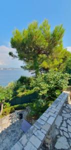 a tree on a stone path next to the ocean at Heavenly House by the sea in Savudrija