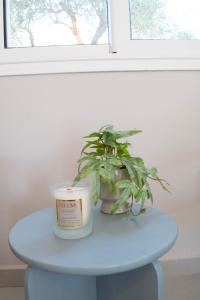 a potted plant sitting on a table next to a window at Casa De Vara in Nea Potidaea +48 photos