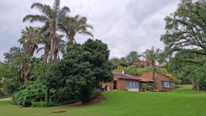 a house with palm trees and a green yard at Cosy Connect Guesthouse in Krugersdorp