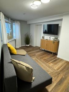 TV a/nebo společenská místnost v ubytování Stadtzauber Apartments