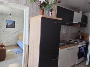 Kuchyň nebo kuchyňský kout v ubytování Apartment Leonard Bei Oberndorf
