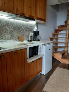 a kitchen with a stove and a microwave at To Patriko Mas Guesthouse-1 in Palaios Panteleimon