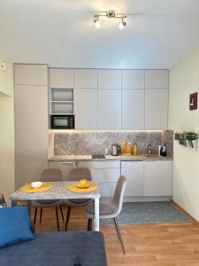Η κουζίνα ή μικρή κουζίνα στο Apartamentai Vetrungiu g 3