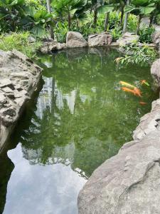 Gallery image of Aveline Suites Cozy Skyline View ACQUA Private Residences near Rockwell Makati in Manila