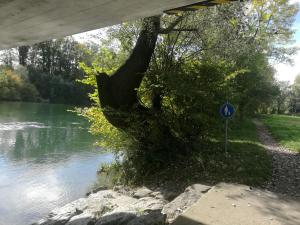 Priroda u blizini smeštaja u okviru domaćinstva