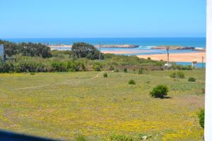 a field of flowers with a beach in the background at Maison de la Lagune in Oualidia