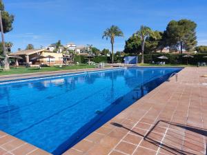 a swimming pool in a villa with palm trees at Home Campoamor in Orihuela Costa