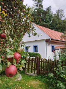 Giardino di Apartmán Štrobl