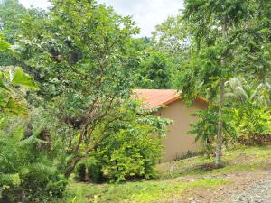 Vrt pred nastanitvijo Corcovado Private Houses-Villas-Tents-pool-rest