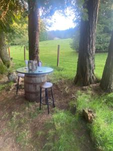Kebun di luar Willow Lodge