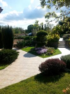 Zahrada ubytování Villa Steffani