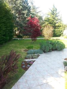 Zahrada ubytování Villa Steffani
